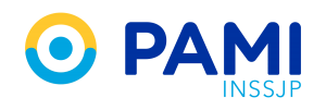 1200px-PAMI-Logo.svg